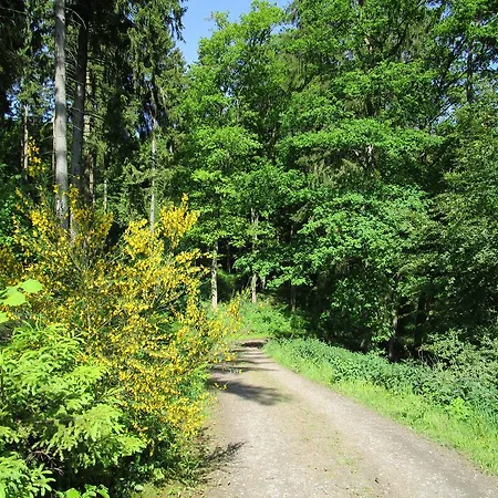 Bed & Breakfast Gasthaus Esseltal Eslohe